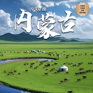 9D7N Intriguing Inner Mongolia
