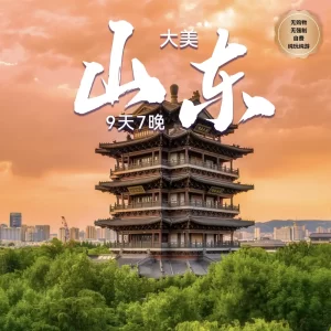 9D7N Amazing Shandong